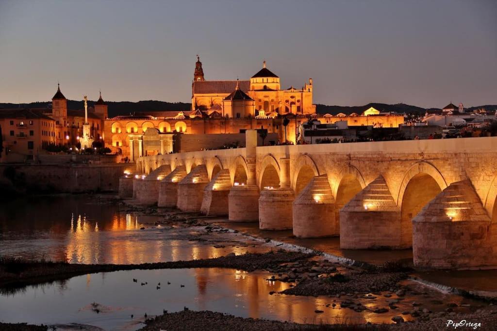 Apartamento Loft Al-Nasir Junto Al Casco Historico Córdoba Kültér fotó